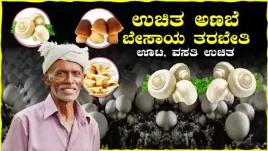 ಬೆಂಗಳೂರು ಗ್ರಾಮಾಂತರ ಹೊಸಕೋಟೆಯಲ್ಲಿ ಉಚಿತ ಅಣಬೆ ಬೇಸಾಯ ತರಬೇತಿ