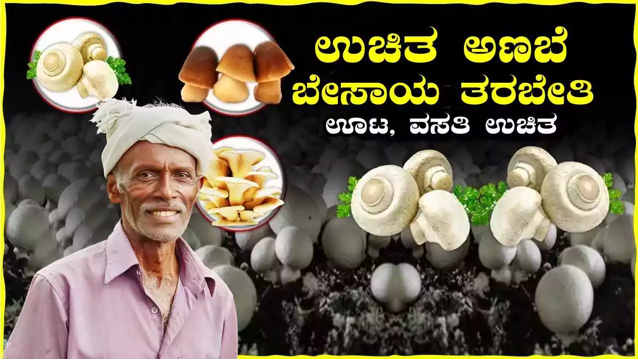 ಬೆಂಗಳೂರು ಗ್ರಾಮಾಂತರ ಹೊಸಕೋಟೆಯಲ್ಲಿ ಉಚಿತ ಅಣಬೆ ಬೇಸಾಯ ತರಬೇತಿ