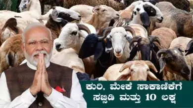 ಕುರಿ, ಮೇಕೆ ಸಾಕಾಣಿಕೆಗೆ 35%ವರೆಗಿನ ಸಬ್ಸಿಡಿ ಮತ್ತು ₹10 ಲಕ್ಷವರೆಗೆ ಸಾಲ ಸೌಲಭ್ಯ