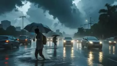 Karnataka Rains: ಕರ್ನಾಟಕದ ಈ ಜಿಲ್ಲೆಗಳಿಗೆ ಸೆಪ್ಟೆಂಬರ್ 21ರ ವರೆಗೆ ಭಾರೀ ಮಳೆ ಎಚ್ಚರಿಕೆ
