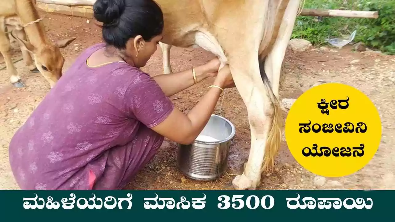 ಕ್ಷೀರ ಸಂಜೀವಿನಿ ಯೋಜನೆ: ಮಹಿಳೆಯರಿಗೆ ಮಾಸಿಕ 3500 ರೂಪಾಯಿ, ಬಂಪರ್ ಸ್ಕೀಮ್