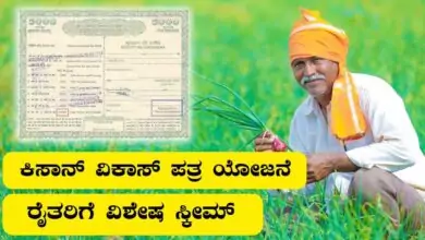 ಕಿಸಾನ್ ವಿಕಾಸ್ ಪತ್ರ ಯೋಜನೆ: ರೈತರಿಗೆ ವಿಶೇಷ ಸ್ಕೀಮ್, ಹೆಚ್ಚು ಬಡ್ಡಿ ಅವಕಾಶ