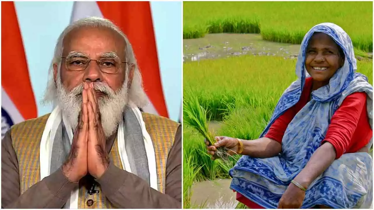 ಪಿಎಂ ಕಿಸಾನ್ ಯೋಜನೆ: ರೈತರಿಗೆ ದೀಪಾವಳಿ ಸಿಹಿ ಸುದ್ದಿ, 2000 ರೂಪಾಯಿ ಖಾತೆಗೆ ಜಮಾ