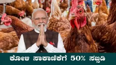 ಕೋಳಿ ಸಾಕಾಣಿಕೆಗೆ ಸರ್ಕಾರದಿಂದ 50% ಸಬ್ಸಿಡಿ! ರೈತರಿಗೆ ಬ್ಯಾಂಕ್ ಸಾಲ ಹಾಗೂ ಸಹಾಯಧನ