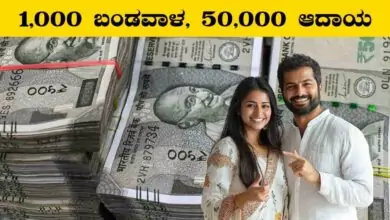 ಬರಿ 1,000 ರೂಪಾಯಿ ಬಂಡವಾಳ ಹಾಕಿದ್ರೆ ತಿಂಗಳಿಗೆ ₹50,000 ಆದಾಯ! ಬೆಸ್ಟ್ ಬಿಸಿನೆಸ್ ಐಡಿಯಾ