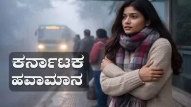 ಬೆಂಗಳೂರು ಸೇರಿ ಕರ್ನಾಟಕ ರಾಜ್ಯಾದ್ಯಂತ ಚಳಿ ಹಿಡಿತ ಬಿಗಿ! ಹೊಸ ವರ್ಷ ಸಂಭ್ರಮಕ್ಕೂ ಚಳಿ ಕಾಟ
