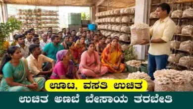 ಬೆಂಗಳೂರು ಗ್ರಾ. ಹೊಸಕೋಟೆಯಲ್ಲಿ ಉಚಿತ ಅಣಬೆ ಬೇಸಾಯ ತರಬೇತಿ! ಊಟ, ವಸತಿ ಉಚಿತ