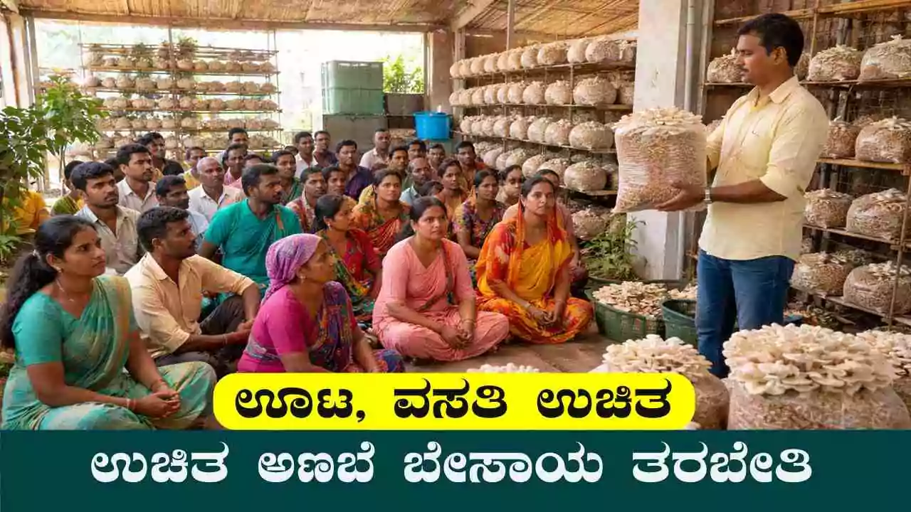 ಬೆಂಗಳೂರು ಗ್ರಾ. ಹೊಸಕೋಟೆಯಲ್ಲಿ ಉಚಿತ ಅಣಬೆ ಬೇಸಾಯ ತರಬೇತಿ! ಊಟ, ವಸತಿ ಉಚಿತ