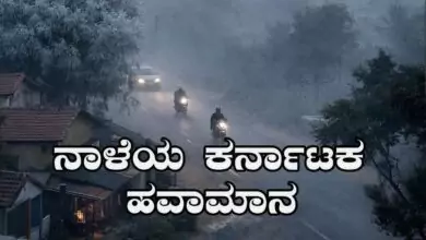 ಹವಾಮಾನ: ಕರ್ನಾಟಕದ ಹಲವೆಡೆ ಚಳಿ–ಮಂಜು, ಬೆಂಗಳೂರು ಸೇರಿ ಒಳನಾಡಿನಲ್ಲಿ ಶೀತಗಾಳಿ