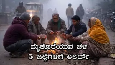 ಕರ್ನಾಟಕ ಹವಾಮಾನ ವರದಿ: ಬೆಂಗಳೂರಿನಲ್ಲಿ ಮೈಕೊರೆಯುವ ಚಳಿ! 5 ಜಿಲ್ಲೆಗಳಿಗೆ ಅಲರ್ಟ್