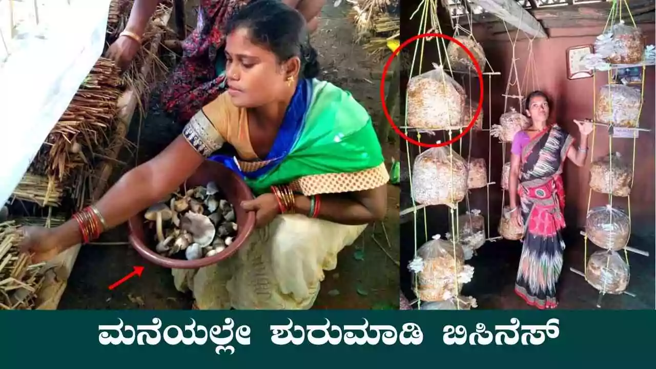 ಪೈಸಾ ಬಂಡವಾಳ ಬೇಡ! ದಂಪತಿಗಳು ಮನೆಯಲ್ಲೇ ಶುರುಮಾಡಬಹುದಾದ ಬಿಸಿನೆಸ್ ಇದು