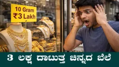 ಚಿನ್ನದ ಬೆಲೆ ₹3 ಲಕ್ಷದ ಗಡಿಯನ್ನು ದಾಟುವ ಸಾಧ್ಯತೆ! ಅಮೆರಿಕ ತಜ್ಞರ ಶಾಕಿಂಗ್ ಲೆಕ್ಕಾಚಾರ