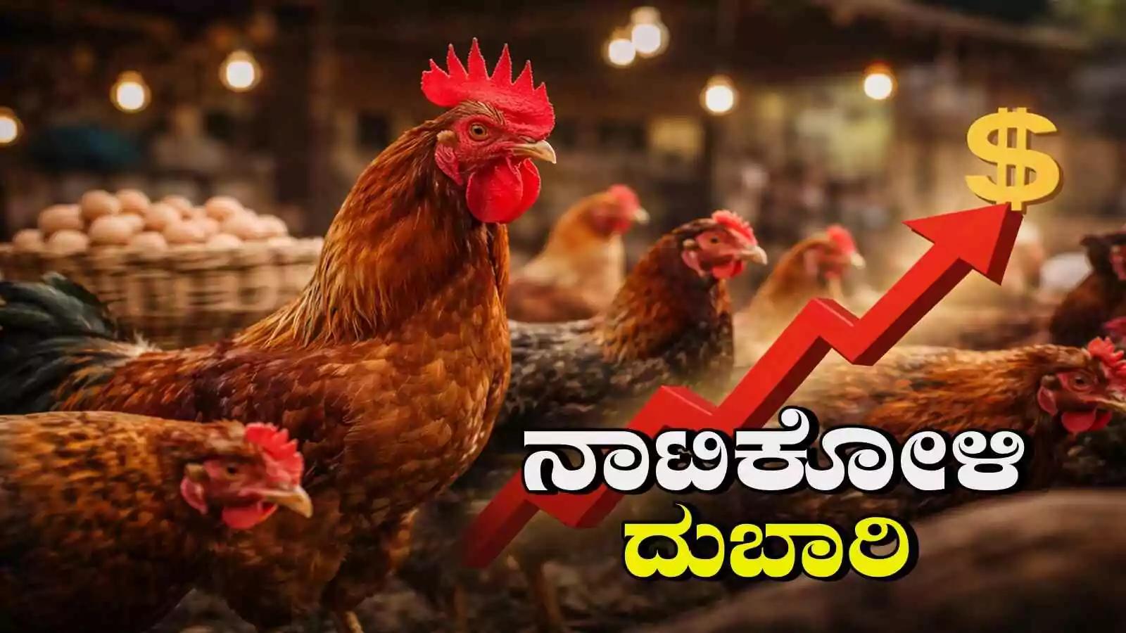 ಸಂಕ್ರಾಂತಿ ಡಿಮ್ಯಾಂಡ್! ನಾಟಿಕೋಳಿ ಬೆಲೆ ದುಬಾರಿ ಮಟ್ಟಕ್ಕೆ ಏರಿಕೆ; 2 ಸಾವಿರ ಮೀರಿದ ದರ