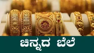 ಚಿನ್ನದ ಬೆಲೆ ಏಕಾಏಕಿ ಜಿಗಿತ! ಬೆಂಗಳೂರು ಮಾರುಕಟ್ಟೆಯಲ್ಲಿ ಚಿನ್ನದ ಝಳಕ್ ಹೇಗಿದೆ ಗೊತ್ತಾ