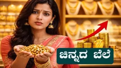 ಚಿನ್ನದ ಬೆಲೆ ಮತ್ತೆ ತಿರುವು, ಬೆಂಗಳೂರಿನಲ್ಲಿ 24K, 22K ಬೆಲೆ ಇಷ್ಟಾಗಿದೆ! ಇಂದಿನ ರೇಟ್ಸ್ ಇಲ್ಲಿವೆ