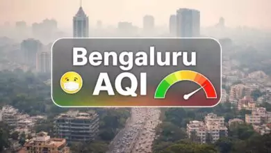 ಬೆಂಗಳೂರು, ಉಡುಪಿ ಹಾಗೂ ಮಂಗಳೂರು ಸೇರಿ ಕರ್ನಾಟಕ ಜಿಲ್ಲೆಗಳಲ್ಲಿ ಗಾಳಿ ಗುಣಮಟ್ಟ ಕುಸಿತ