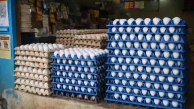 ಕೋಳಿ ಮೊಟ್ಟೆ ದರ ಕುಸಿತ; ಚಿಲ್ಲರೆ ಮಾರುಕಟ್ಟೆಯಲ್ಲಿ ಗಣನೀಯ ಇಳಿಕೆ