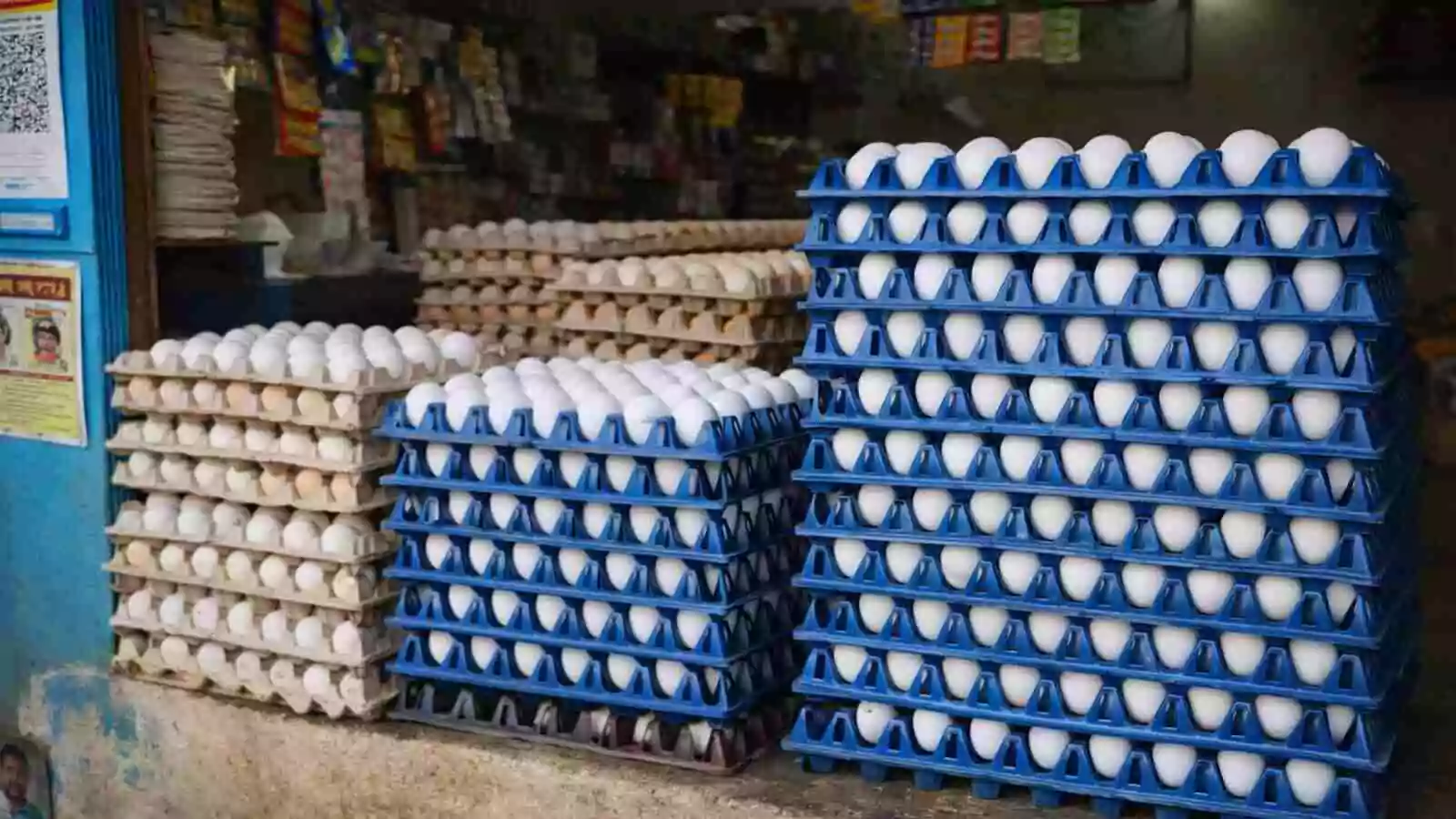 ಕೋಳಿ ಮೊಟ್ಟೆ ದರ ಕುಸಿತ; ಚಿಲ್ಲರೆ ಮಾರುಕಟ್ಟೆಯಲ್ಲಿ ಗಣನೀಯ ಇಳಿಕೆ