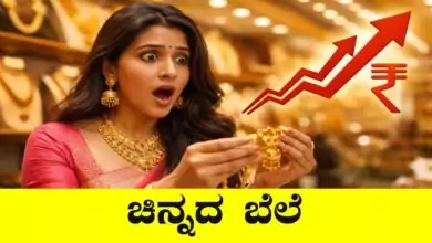 ಚಿನ್ನದ ಬೆಲೆ ಇತಿಹಾಸದಲ್ಲೇ ಮತ್ತೊಂದು ದಾಖಲೆ! 1.6 ಲಕ್ಷ ಮೀರಿದ ಮಾರುಕಟ್ಟೆ ದರ