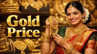 ಹಮ್ಮಯ್ಯಾ! ಚಿನ್ನದ ಬೆಲೆ ಏರಿಕೆಗೆ ಬಿತ್ತು ಬ್ರೇಕ್! ಏರಿಳಿತದ ನಂತರ ಇಂದು ಚಿನ್ನದ ದರ ಸ್ಥಿರ