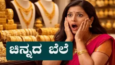 ಚಿನ್ನದ ಬೆಲೆ ಭಾರೀ ಏರಿಕೆ, ಬೆಳ್ಳಿ ಸ್ವಲ್ಪ ಇಳಿಕೆ! ಬೆಂಗಳೂರು ಗೋಲ್ಡ್ ರೇಟ್ ಡೀಟೇಲ್ಸ್ ಇಲ್ಲಿದೆ