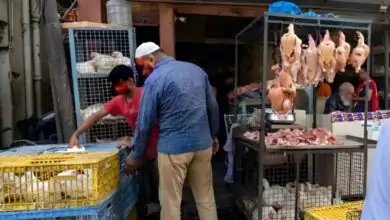 ಮಹಾ ಶಿವರಾತ್ರಿ ಹಬ್ಬದ ಹಿನ್ನೆಲೆ ಬೆಂಗಳೂರು ನಗರಾದ್ಯಂತ ಮಾಂಸ ಮಾರಾಟ ನಿಷೇಧ