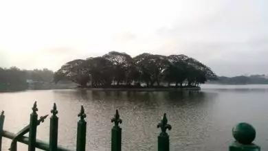 ಐತಿಹಾಸಿಕ ಬೆಂಗಳೂರಿನ ಅಲಸೂರು ಕೆರೆ ಪುನರುಜ್ಜೀವನ ಆರಂಭ