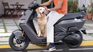 ಈ ಎಲೆಕ್ಟ್ರಿಕ್ ಸ್ಕೂಟರ್ ಮೇಲೆ 20,000 ರಿಯಾಯಿತಿ! 123 ಕಿಮೀ ರೇಂಜ್, 8 ವರ್ಷ ಬ್ಯಾಟರಿ ವಾರಂಟಿ