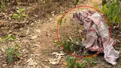 ಬೆಂಗಳೂರು ಎಲೆಕ್ಟ್ರಾನಿಕ್ ಸಿಟಿಯಲ್ಲಿ ಬಾಲಕಿ ಶವವಾಗಿ ಪತ್ತೆ; ಅತ್ಯಾಚಾರವೆಸಗಿ ಮುಖ ಜಜ್ಜಿ ಕೊಲೆ
