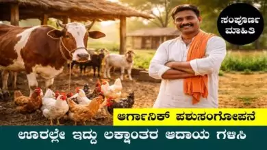 ಆರ್ಗಾನಿಕ್ ಪಶುಸಂಗೋಪನೆ ಬಿಸಿನೆಸ್ ಐಡಿಯಾ: ಊರಲ್ಲೇ ಇದ್ದು ಲಕ್ಷಾಂತರ ಆದಾಯ ಗಳಿಸಿ