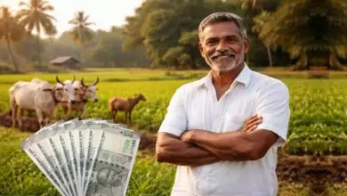 ರೈತರಿಗೆ ಬಂಪರ್ ಗಿಫ್ಟ್! ಖಾಲಿ ಜಮೀನಿನಿಂದಲೇ ಲಕ್ಷಾಂತರ ಆದಾಯ ಪಡೆಯುವ ಅವಕಾಶ