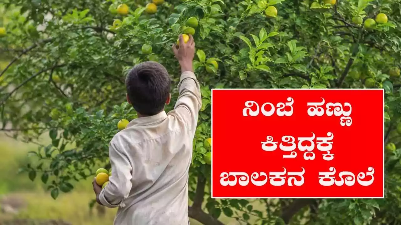 ನಿಂಬೆ ಹಣ್ಣು ಕಿತ್ತಿದ್ದಕ್ಕೆ ಬಾಲಕನ ಹತ್ಯೆ! ಅಮಾನುಷವಾಗಿ ಥಳಿಸಿ ಕೊಲೆ