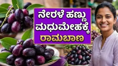 ನೇರಳೆ ಹಣ್ಣು ಮಧುಮೇಹಕ್ಕೆ ರಾಮಬಾಣ? ತಿನ್ನುವ ಸರಿಯಾದ ವಿಧಾನ ತಿಳಿಯಿರಿ