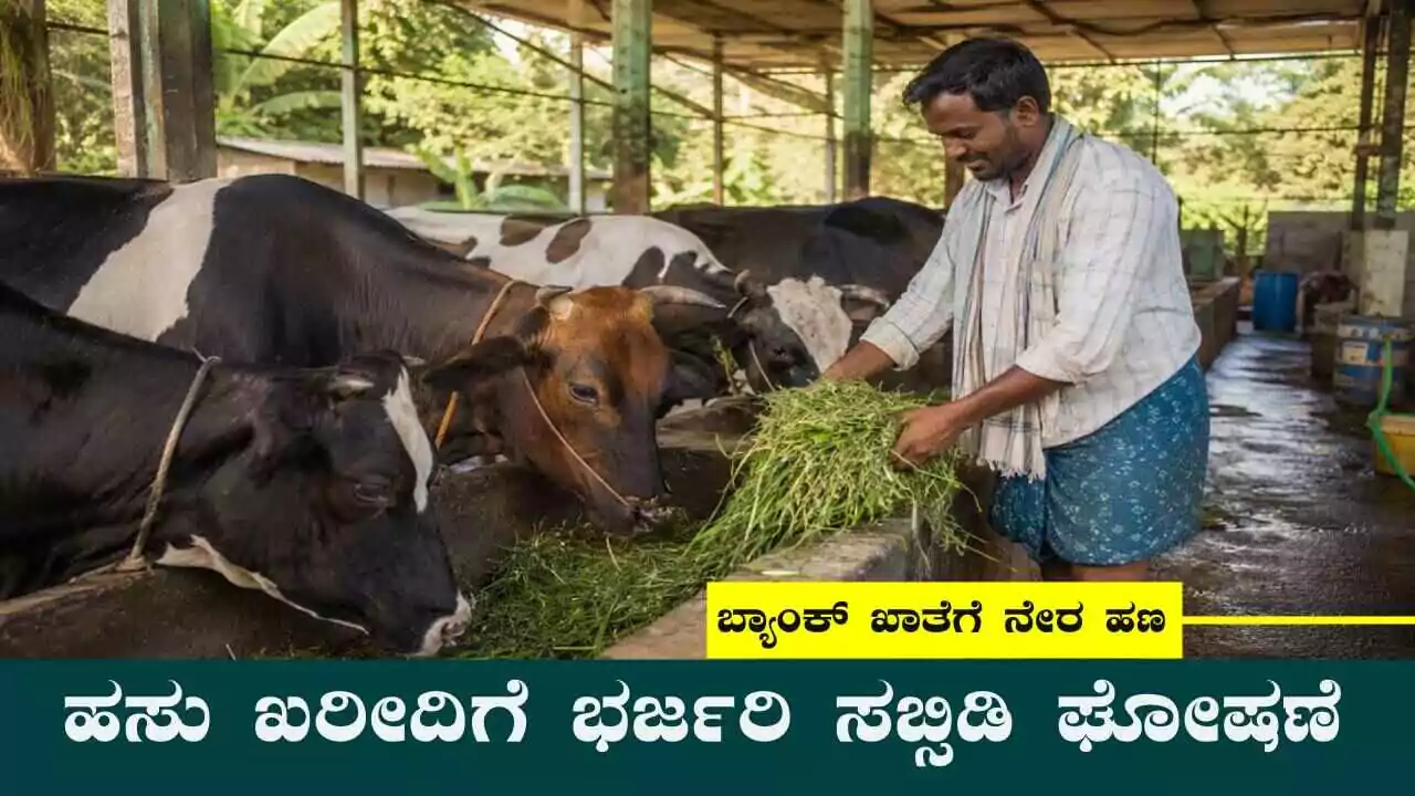 ಬಡ ರೈತರಿಗೆ ಬಂಪರ್ ಗಿಫ್ಟ್! 20 ಸಾವಿರ ಹಸು ವಿತರಣೆ, ಬ್ಯಾಂಕ್ ಖಾತೆಗೆ ನೇರ ಸಬ್ಸಿಡಿ ಜಮೆ