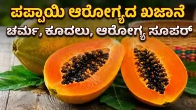 ವಿಟಮಿನ್ಗಳ ಪವರ್ಹೌಸ್ ಪಪ್ಪಾಯಿ! ತಿಂದರೆ ಚರ್ಮ, ಕೂದಲು, ಆರೋಗ್ಯ ಎಲ್ಲವೂ ಸೂಪರ್