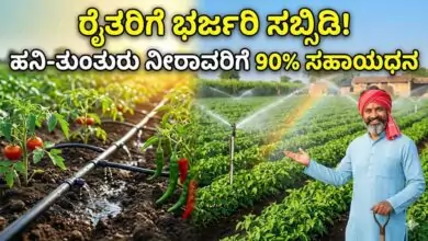 ರೈತರಿಗೆ ಭರ್ಜರಿ ಸಬ್ಸಿಡಿ! ಹನಿ-ತುಂತುರು ನೀರಾವರಿಗೆ 90% ಸಹಾಯಧನ