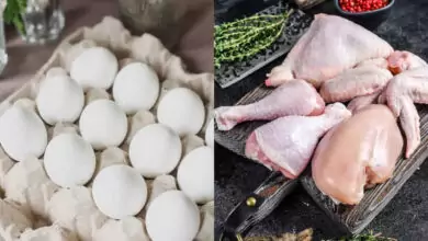 ಕೋಳಿ ಸಾಕಣೆ ಕ್ಷೇತ್ರದಲ್ಲಿ ಸಂಕಷ್ಟ; ಚಿಕನ್, ಮೊಟ್ಟೆ ಬೆಲೆ ಮತ್ತಷ್ಟು ಏರಿಕೆ