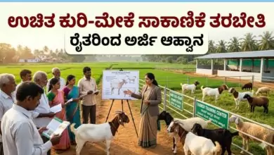 ಉಚಿತ ಕುರಿ-ಮೇಕೆ ಸಾಕಾಣಿಕೆ ತರಬೇತಿ; ರೈತರಿಂದ ಅರ್ಜಿ ಆಹ್ವಾನ