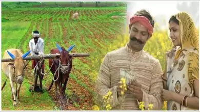 ಪಿಎಂ ಕಿಸಾನ್ ₹2,000 ಜಮೆಯಾಗಿಲ್ಲವೇ? ಈ ರೀತಿ ಪರಿಶೀಲಿಸಿ, ದೂರು ನೀಡಿ! ಸಹಾಯವಾಣಿ ಇಲ್ಲಿದೆ