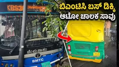 ಬೆಂಗಳೂರು: ಬಿಎಂಟಿಸಿ ಎಲೆಕ್ಟ್ರಿಕ್ ಬಸ್ ಡಿಕ್ಕಿಗೆ ಆಟೋ ಚಾಲಕ ಸಾವು
