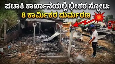ಪಟಾಕಿ ಕಾರ್ಖಾನೆಯಲ್ಲಿ ಭೀಕರ ಸ್ಫೋಟ: 8 ಕಾರ್ಮಿಕರು ಸ್ಥಳದಲ್ಲೇ ದುರ್ಮರಣ