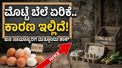 ಮೊಟ್ಟೆ ಬೆಲೆ ಏರಿಕೆ.. ಕಾರಣ ಇಲ್ಲಿದೆ! ಜನ ಸಾಮಾನ್ಯರಿಗೆ ಮತ್ತೊಂದು ಶಾಕ್