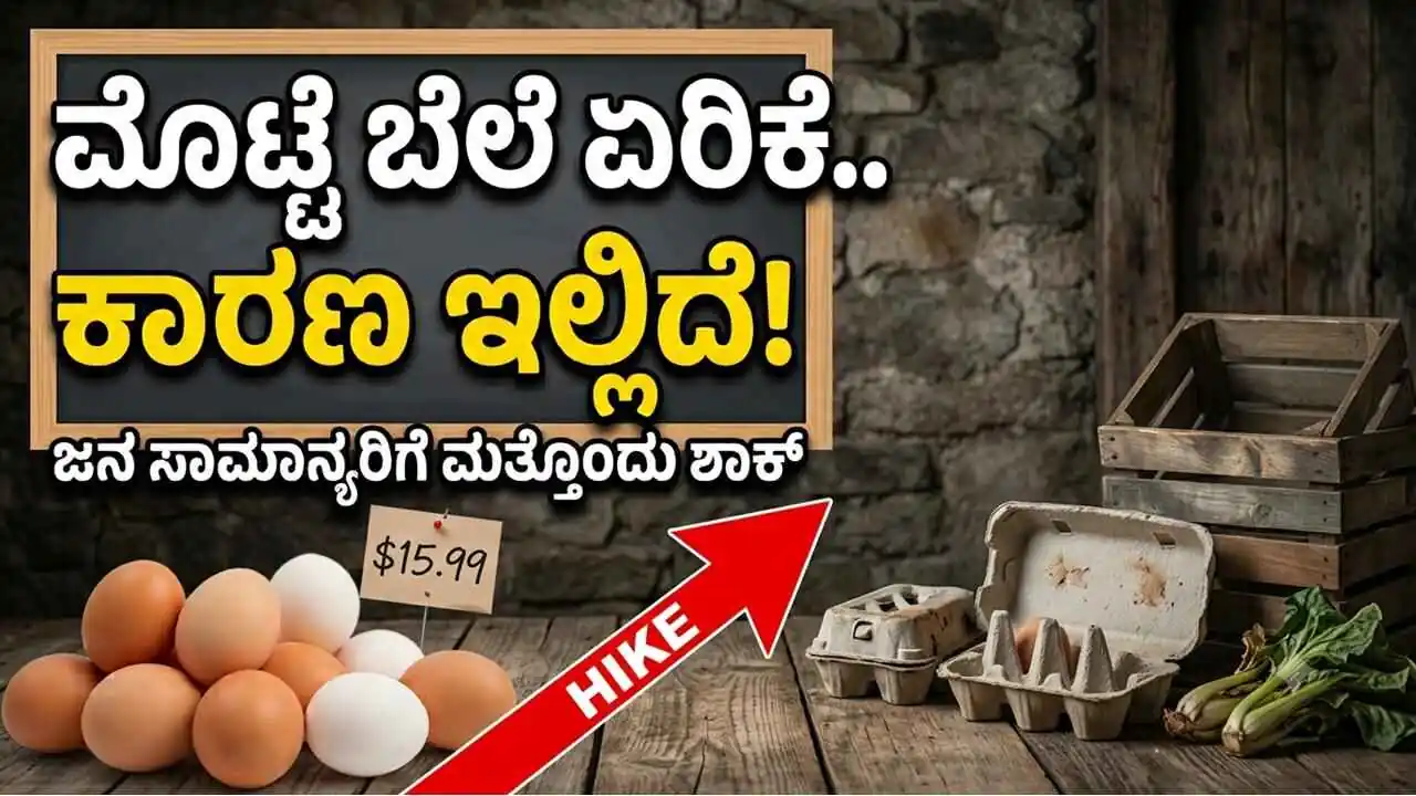 ಮೊಟ್ಟೆ ಬೆಲೆ ಏರಿಕೆ.. ಕಾರಣ ಇಲ್ಲಿದೆ! ಜನ ಸಾಮಾನ್ಯರಿಗೆ ಮತ್ತೊಂದು ಶಾಕ್
