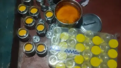 ಚಿಕ್ಕಮಗಳೂರಲ್ಲಿ 30 ಕೆಜಿಗೂ ಹೆಚ್ಚು ನಕಲಿ ನಾಟಿ ತುಪ್ಪ ಪತ್ತೆ! ಡಾಲ್ಡಾ ಮತ್ತು ರಾಸಾಯನಿಕ ಬಳಕೆ