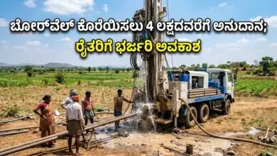 ಬೋರ್ವೆಲ್ ಕೊರೆಯಿಸಲು 4 ಲಕ್ಷದವರೆಗೆ ಅನುದಾನ; ರೈತರಿಗೆ ಭರ್ಜರಿ ಅವಕಾಶ! ಸೆ.30 ಕೊನೆಯ ದಿನ