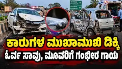 ದೇವನಹಳ್ಳಿ: ಡಿವೈಡರ್ ದಾಟಿ ಕಾರುಗಳ ಮುಖಾಮುಖಿ ಡಿಕ್ಕಿ, ಓರ್ವ ಸಾವು, ಮೂವರಿಗೆ ಗಂಭೀರ ಗಾಯ
