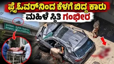 ಡಿವೈಡರ್ಗೆ ಡಿಕ್ಕಿ; ಫ್ಲೈಓವರ್ನಿಂದ ಕೆಳಗೆ ಬಿದ್ದ ಕಾರು! ಮಹಿಳೆ ಸ್ಥಿತಿ ಗಂಭೀರ