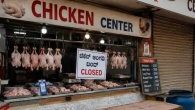 ಚಿಕನ್ ಅಂಗಡಿಗಳಿಗೆ ಬಂದ್ ಕರೆ! ಬೆಂಗಳೂರು ನಗರದಲ್ಲಿ 2 ದಿನ ಚಿಕನ್-ಮಟನ್ ಸಿಗಲ್ಲ
