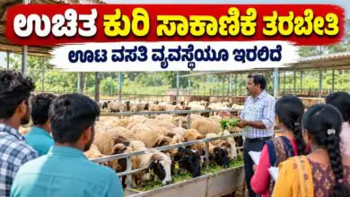 ಬೆಂಗಳೂರು: ಹೊಸಕೋಟೆಯಲ್ಲಿ ಉಚಿತ ಕುರಿ ಸಾಕಾಣಿಕೆ ತರಬೇತಿ! ಊಟ ವಸತಿ ವ್ಯವಸ್ಥೆಯೂ ಇರಲಿದೆ