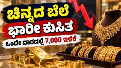 ಚಿನ್ನದ ಬೆಲೆ ಭಾರೀ ಕುಸಿತ, ಒಂದೇ ವಾರದಲ್ಲಿ 7,000 ಇಳಿಕೆ! ಬೆಂಗಳೂರು ಸೇರಿ ಇಂದಿನ ದರ ಚೆಕ್ ಮಾಡಿ
